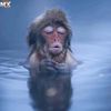 mohamed_na03