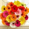 sandylove2135