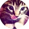 yif_74