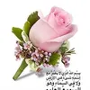 ranialouali4
