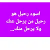 user7953152197741