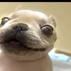 meidkyh