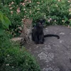 hayet_floor
