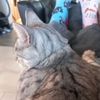 janap_09