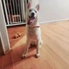 roxy_for_life