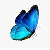 moktarhossain114