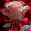 user40701923073596