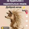 .ilgiz