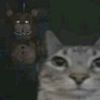 dmian_wayne
