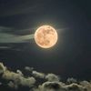 noturman.fiju