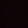 alondra_saenz637