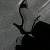 rich_ayhxy