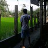 mas.dika91
