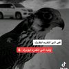 userg8a30suijh