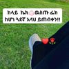 user12246650069870