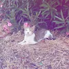 sophie.s289