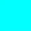 user876977481026