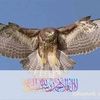 user972v9et095