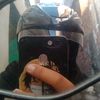 tegar_putra_p