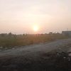 maz_gendut