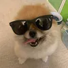 svennyzzz