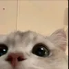 1809_ruaa_