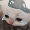 mimimeoww6