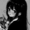 user2081068548724