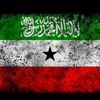hamze__zayd_1