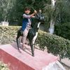 dogarprince