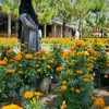 _srimastuti
