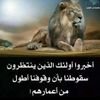 alqpatyynader