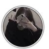 esha.islam585