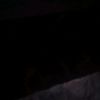 user3181044379779