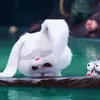 banhxeomaidink