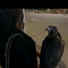reemawadawad927