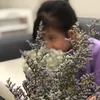 Chipruababy