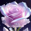 user7136688338746