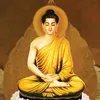 Nam Mô A Di Đà Phật..