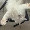 eeijheyjhey