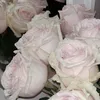 _soraya_wuw