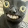 sdiolvxw