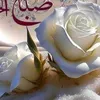 user5825582819631