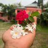 afsana.islam13
