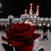 ali._li2
