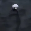 d_gre4at