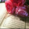.hassanali11