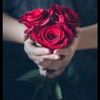 safa_roo80
