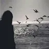 ii1l.h