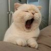 leo.mu95